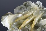 Calcite Crystal Cluster with Pyrite Inclusions - Norway #177557-3